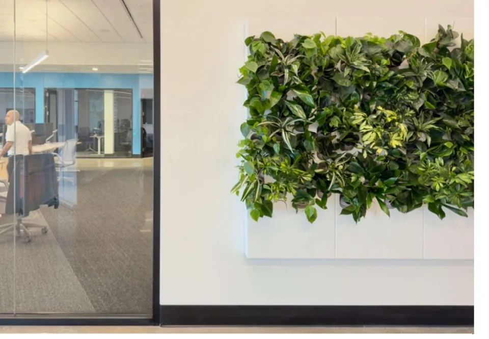 Biome living wall mounted on a commercial wall