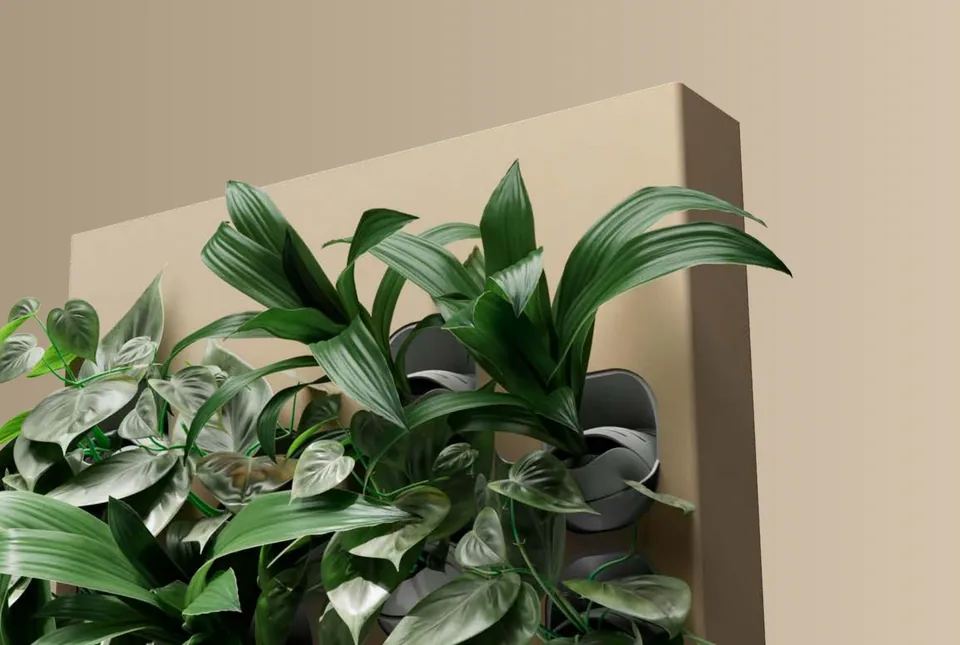 Close view of a Biome living wall with real green plants