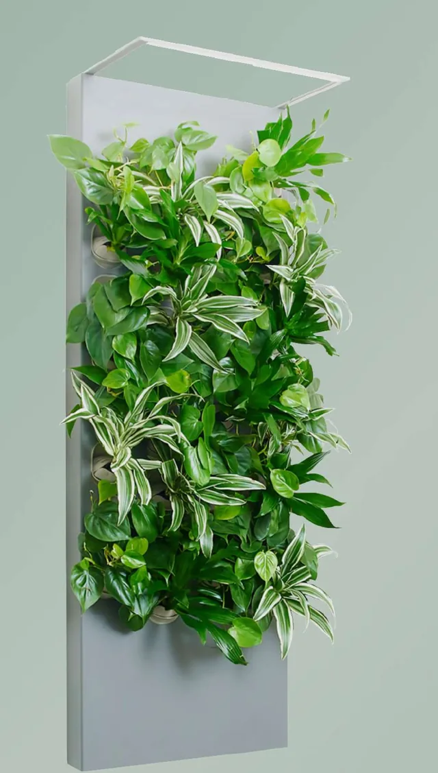 Taiga smart hydroponic living art panel