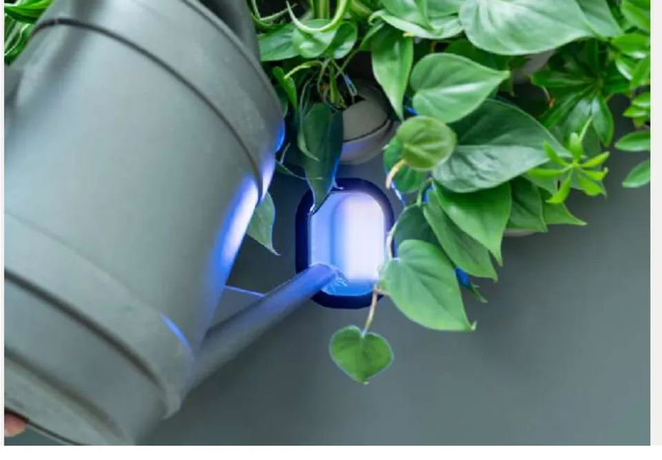 Water being added to a Biome living wall reservoir